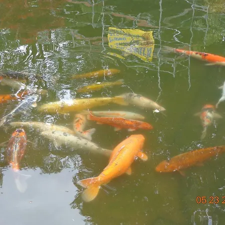 Leo's Ruh 3* Waldböckelheim