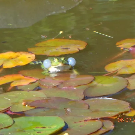 Leo's Ruh Hotel Waldböckelheim