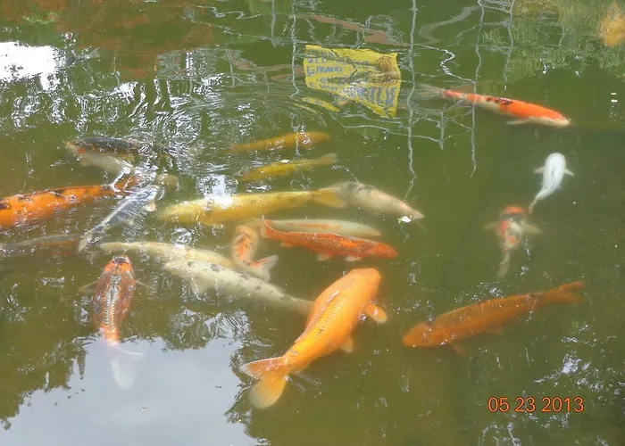 Leo's Ruh 3* Waldböckelheim