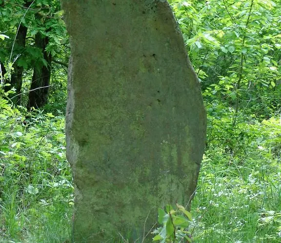 Leo's Ruh 3* Waldböckelheim