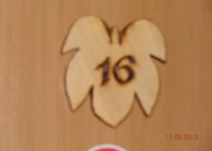 מלון Leo's Ruh 3*